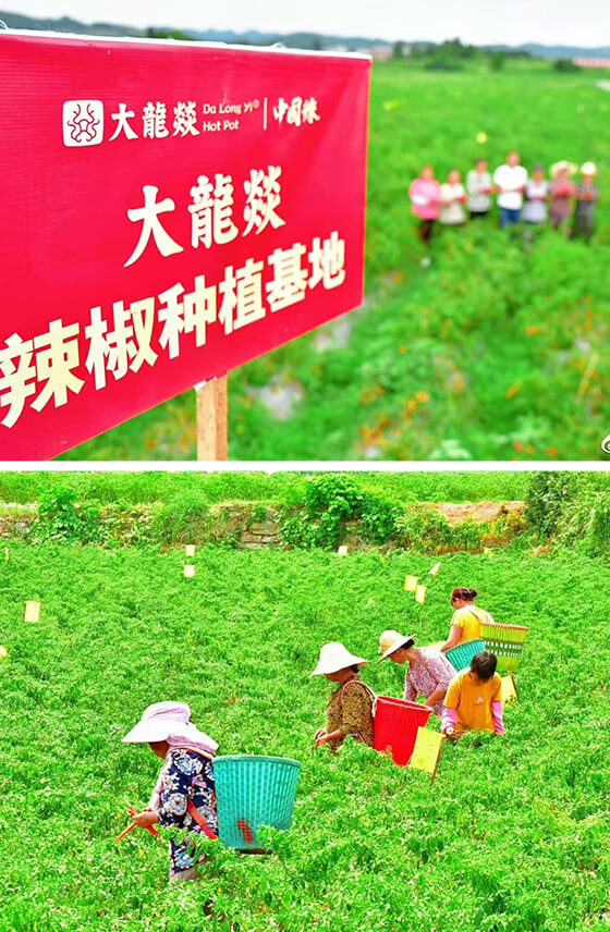 欧博abg官网(Allbet)最新登录入口